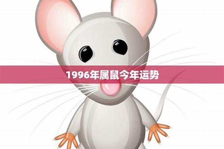 1996年出生的鼠今年的运势