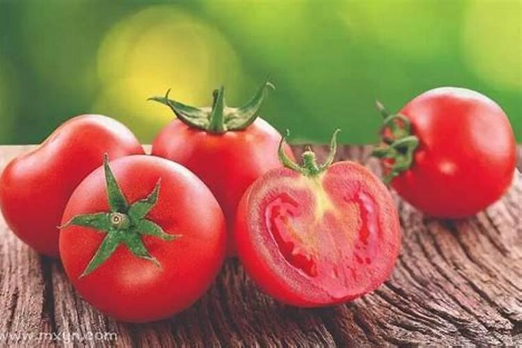 梦见西红柿是什么意思