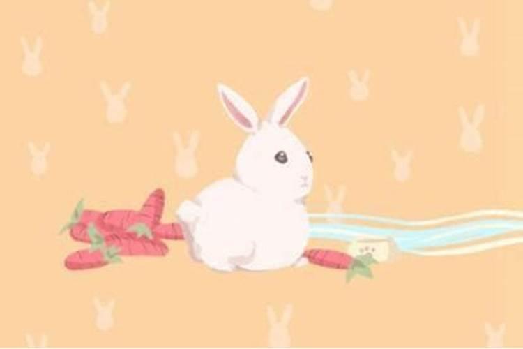 兔子和兔子合婚好吗