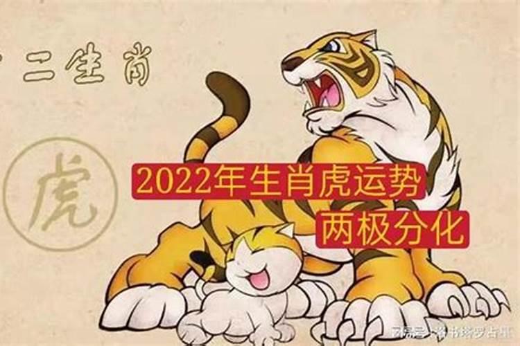 2023年生肖属虎的人全年运势如何？2022年走运的属相