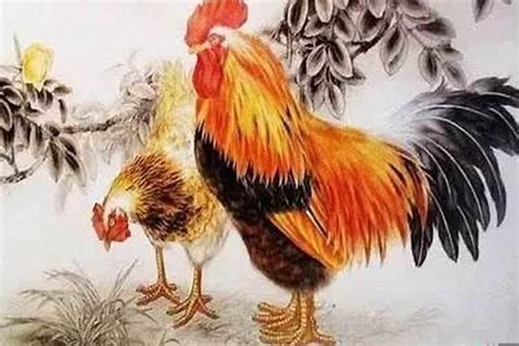 属鸡的和属鸡的配吗属于什么婚？属鸡和属鸡的婚配怎么样