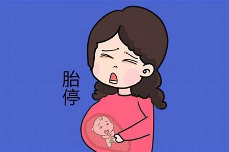 孕妇出现胎停的原因有哪些？什么样会导致胎停