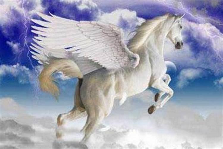 梦见马在天上飞是什么意思？做梦梦到马跑了是什么意思