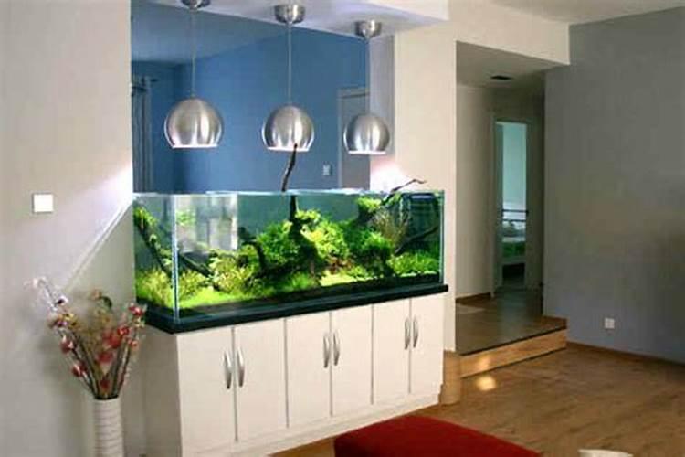 鱼缸放置位置有讲究么？家中放鱼缸有讲究吗客厅能放鱼缸吗