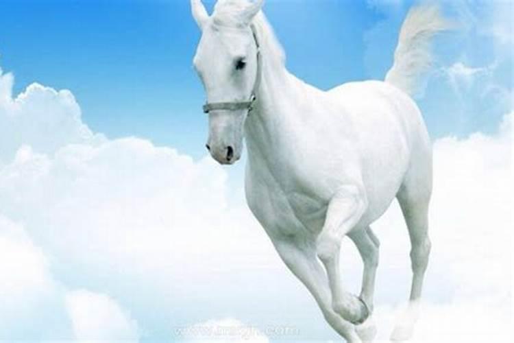 梦见骑马是什么意思有什么预兆？梦见骑着马是什么意思和父母离婚