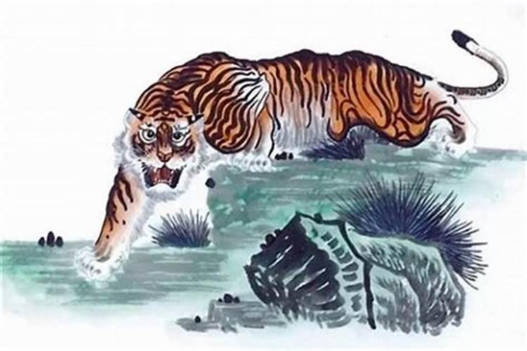 不同时辰月份出生的生肖虎，他们的性格有什么差别？