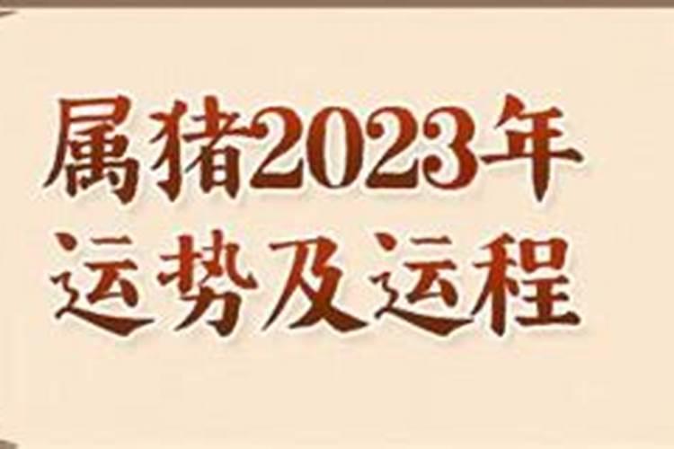 宋绍光71属猪2023年运势运程
