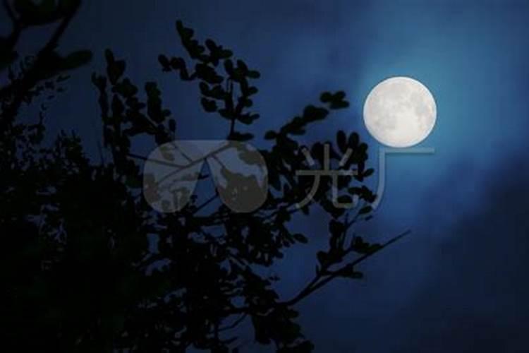 八月十五晚上几点能看到月亮