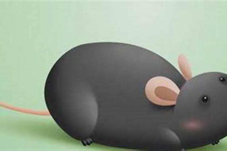 梦见好多老鼠意味着什么