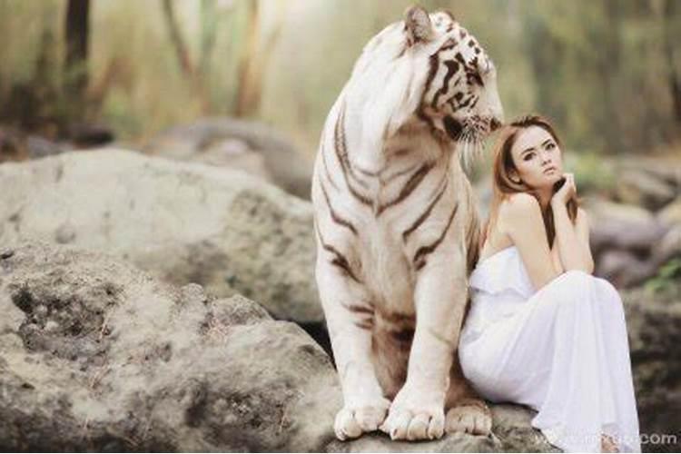 女人梦见老虎是什么意思