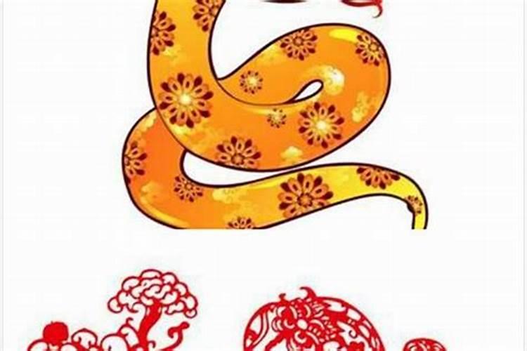 蛇和什么属性合婚