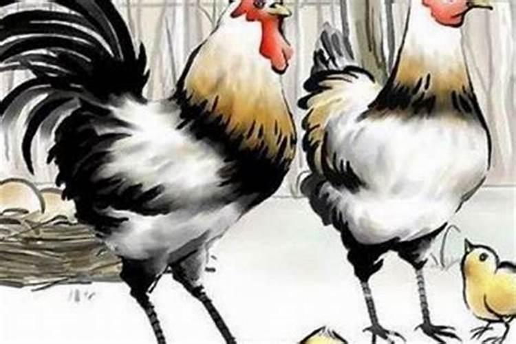 鸡与鸡属相婚配怎样