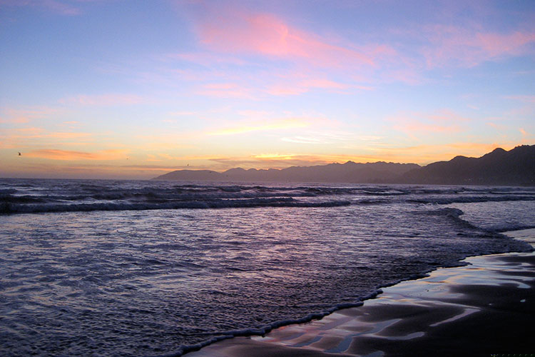 目录怎么自动生成?word如何生成目录,且自成一页