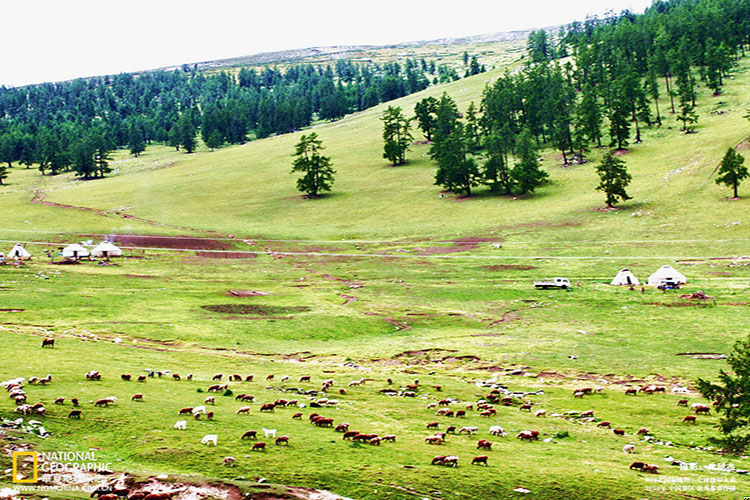 目录怎么自动生成?word如何生成目录,且自成一页